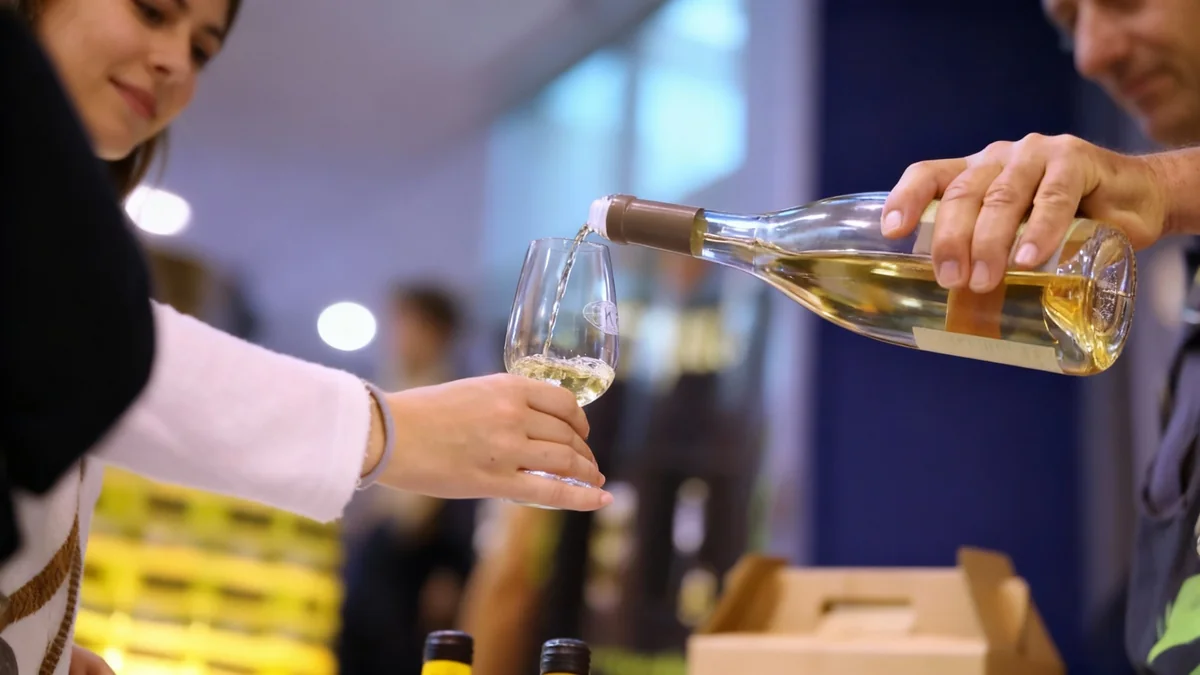 Le salon Terravini anime le Palais Nikaïa ce week-end