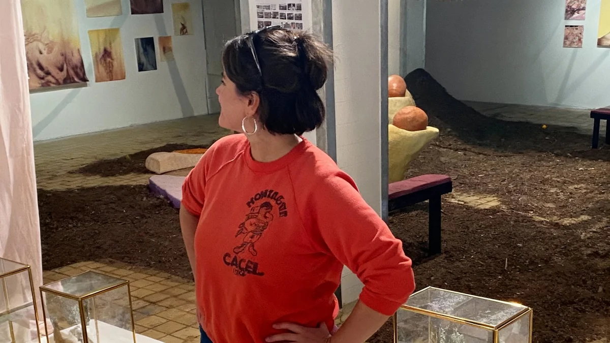 Attentat de Nice : Des victimes proposent un hommage au lieu du nom de Sarkozy