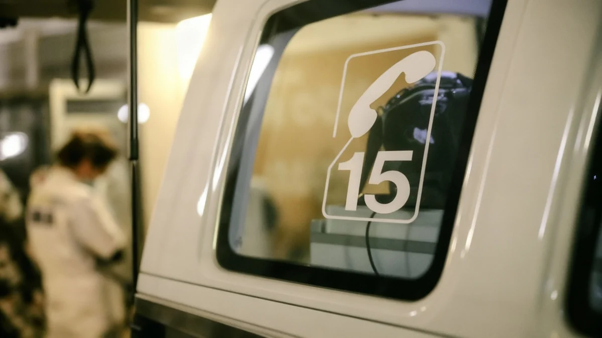 Femme de 79 ans gravement blessée par un chien à Nice