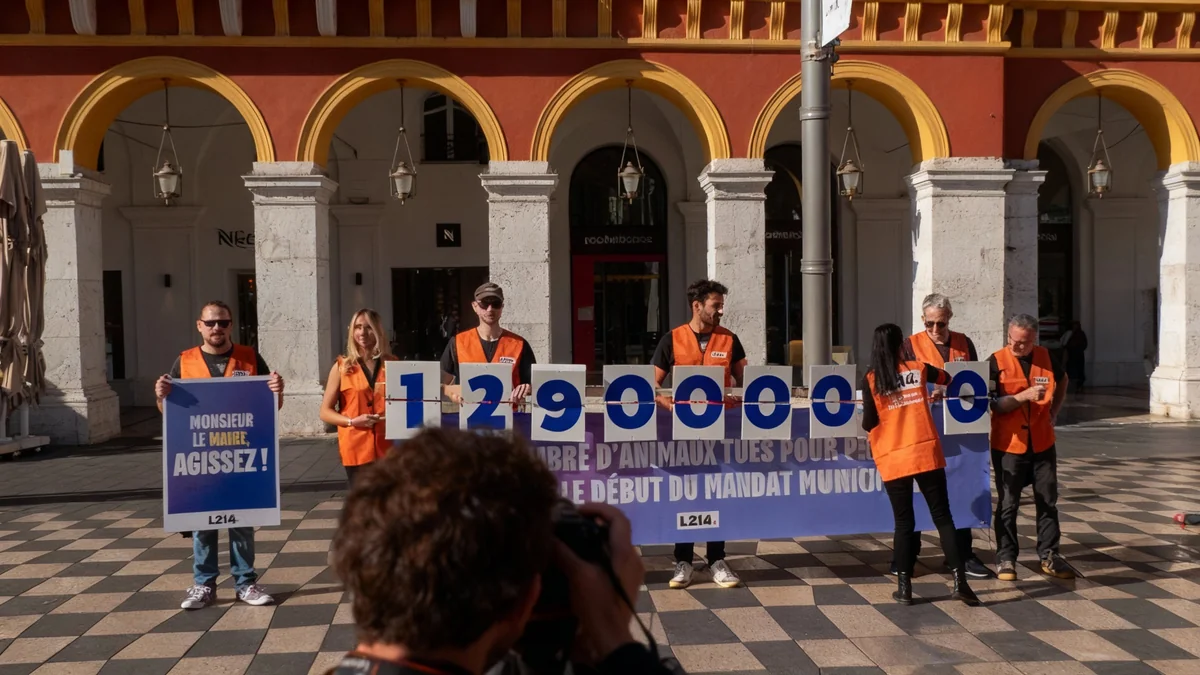 L214 organise une action à Nice contre l'élevage intensif